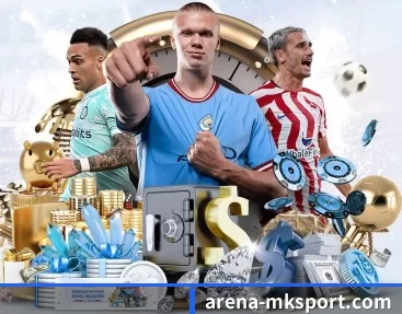 arena-mksport.com的故事（MKSports）